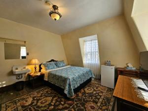 ein Schlafzimmer mit einem Bett und einem Waschbecken in der Unterkunft Royal Hotel in Sydney