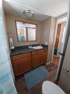 uma casa de banho com um lavatório e um espelho em Lower River Retreat em Parker