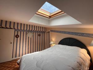 a bedroom with a large bed with a skylight at Appartement 2 ch avec terrasse à 10 min de la plage - Parking gratuit - FR-1-239-936 in Saint-Jean-de-Luz +15 photos