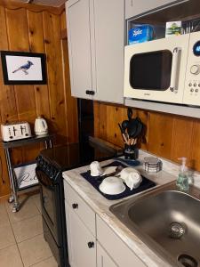 uma cozinha com um lavatório e um micro-ondas em South Shore Resort - The Blue Jay em Twin Lake