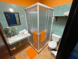 een badkamer met een douche, een toilet en een wastafel bij El Sol Posada in San Cristóbal