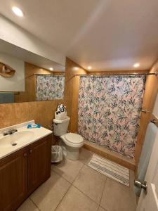 迈阿密Quiet & Centrally located House - PRIVATE PARKING, LAUNDRY AND STORAGE FOR LUGGAGE的一间带卫生间和淋浴帘的浴室