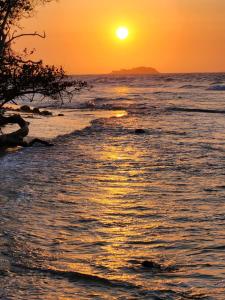 Palos Locos Baru في كارتاهينا دي اندياس: غروب الشمس على المحيط مع وجود شجرة على الشاطئ