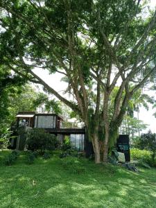 Aed väljaspool majutusasutust LALDEA Nirvana Eco Villa in Cerritos