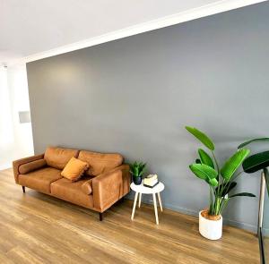 湯斯維爾的住宿－Accommodation @ 134 Denham，客厅配有棕色沙发和两株植物