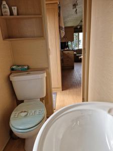 a bathroom with a toilet and a sink at Chalet 304 Insel Ameland in Ballum +19 photos