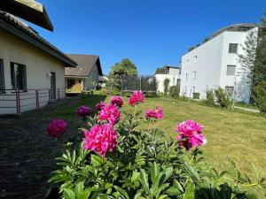 un arbusto de flores rosas en un patio en Gartenwohnung vor den Toren Berns, en Zollikofen