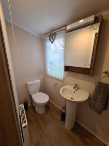 a small bathroom with a toilet and a sink at 6 St Andrews- Craig Tara in Ayr