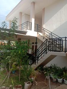 un edificio con una escalera y algunas plantas en Sibento Komodo Homestay, en Labuan Bajo