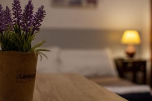 un jarrón de flores púrpuras sentado en una mesa en Marina's Rooms Xrisopolitissa Larnaca en Lárnaca