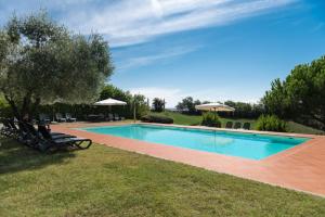 una piscina in un cortile con sedie e ombrelloni di Capanna a Siena