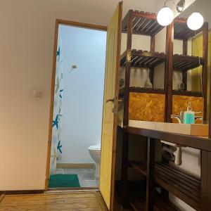 a bathroom with a sink and a toilet at Victoria Poshtel Bucharest in Bucharest