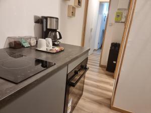 een keuken met een aanrecht en een koffiezetapparaat bij Appartement sympathique in Vendeuvre-sur-Barse