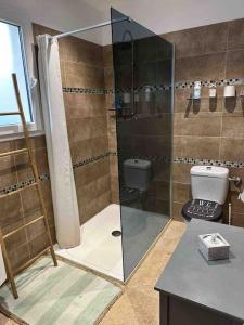 een badkamer met een glazen douche en een toilet bij "Villa Les Didi" Jacuzzi, proche de la mer in Solaro