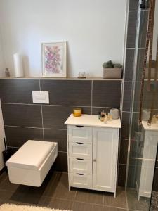 ein Bad mit einem WC, einem Waschbecken und einer Dusche in der Unterkunft Ferienhaus - b42936 in Schotten