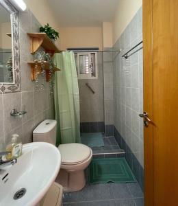 ein Bad mit einem WC, einer Dusche und einem Waschbecken in der Unterkunft KambiGardens in Klorakas