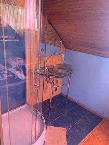 a bathroom with a shower and a glass table at Arany Apartman in Cegléd