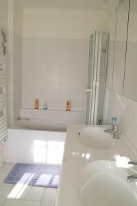 La salle de bains blanche est pourvue d'un lavabo et d'une douche. dans l'établissement Villa l'ALerces, à Montrichard