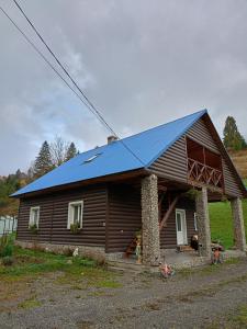 una casa con un tetto blu sopra di "Відпочинок в Карпатах" a Izki