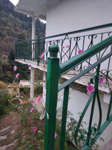 a green railing next to a staircase with pink flowers at L'Ashrum Cafe & Inn in Tosh