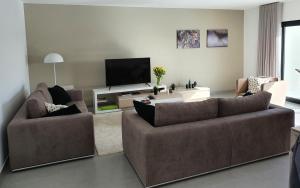 sala de estar con 2 sofás y TV de pantalla plana en Casa Alegria Nadadouro, en Nadadouro