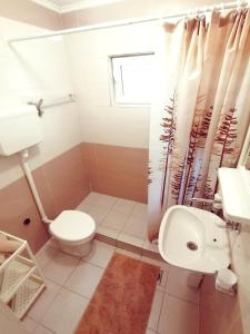 y baño con aseo, lavabo y ducha. en Vrdnik apartmani Sara, en Vrdnik