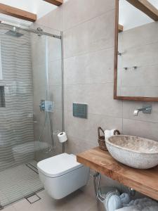斯希努薩島的住宿－Sohoros Luxury Suites，一间带水槽、卫生间和淋浴的浴室