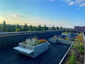 a rooftop garden with three plants on a roof at Beautiful 1 Bed Flat near NEC with secure parking in Birmingham