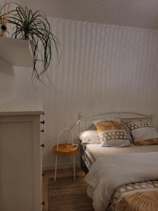 - une chambre avec deux lits et une plante en pot dans l'établissement Appartement avec grand jardin reposant, au Mans