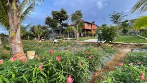 a garden with pink flowers in front of a house at Homestay Highland Vân Hòa Phú Yên in Tuy Hoa