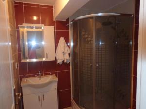 a bathroom with a shower and a sink at çiftlik tepesi pansiyon in Kumluca