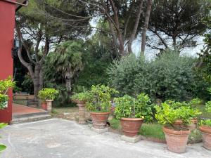 Gallery image of Il Piccolino in Avane