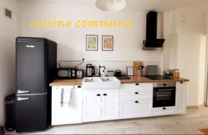 uma cozinha com um frigorífico preto e um lavatório em Les Rauches - Quai Loire - Chambre Jungle em Châteauneuf-sur-Loire