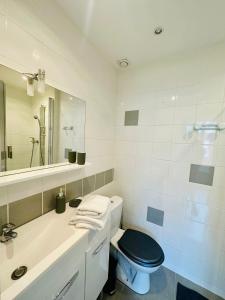 een badkamer met een toilet, een wastafel en een spiegel bij Studio Bohème hypercentre in Amiens