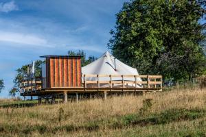 a yurt on a hill in a field at Dolina Village Glamping in Zece Hotare