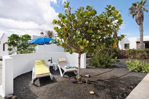 A garden outside Casa Drago, Belleza y Tranquilidad