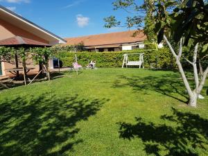 ein Garten mit Rasenfläche, zwei Stühlen und einem Baum in der Unterkunft Deliziosa Villetta con Giardino in Marina di Casalvelino + 50 Fotos