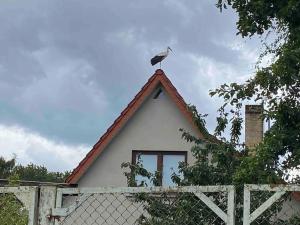 a bird perched on the roof of a house at Ferienwohnung Kompass nahe der Ostsee im Grünen in Bad Doberan