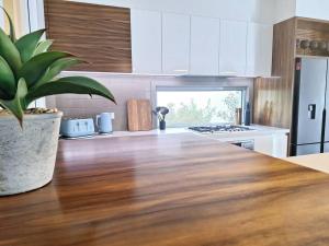 uma cozinha com um balcão de madeira com um vaso de plantas em Hildeton Pool House em Shepparton