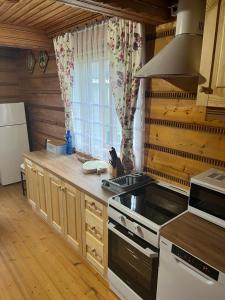 a kitchen with a stove and a refrigerator at Chata z góralską duszą in Jabłonka