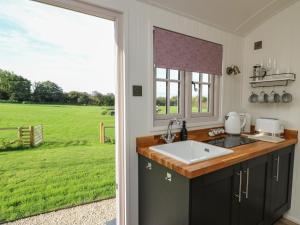 a kitchen with a sink and a view of a field at Dragonfly Shepherd's Hut in Aberaeron