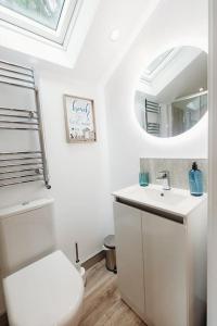 a bathroom with a toilet and a sink and a mirror at Riverside Retreats - Steamers Meadow in Gwinear