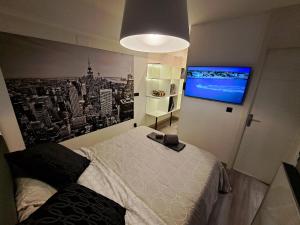 1 dormitorio con 1 cama y TV en la pared en Moraleja suite 2, en Alcobendas
