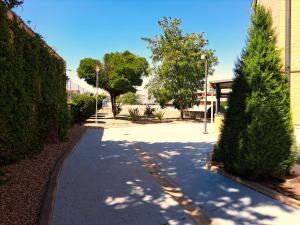 chodnik z dwoma drzewami obok budynku w obiekcie Moraleja suite 2 w mieście Alcobendas