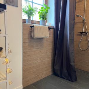 y baño con ducha y cortina de ducha. en Ferienwohnung Mahar en Feistritz im Rosental