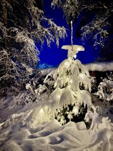 Το Ferienwohnung Remise am Reitl τον χειμώνα