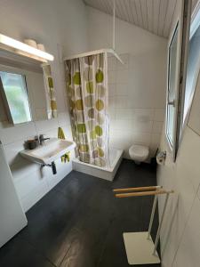 ein Bad mit einem Waschbecken und einer Dusche in der Unterkunft Schöne Doppelzimmer in Mandach in Böttstein