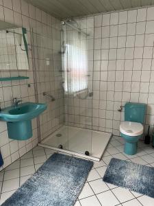 a bathroom with a shower and a sink and a toilet at Ferienhaus - a90588 in Grevesmühlen