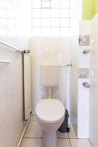 a white bathroom with a toilet and a shower at Monteurwohnung im schönen Essenheim bei Mainz in Essenheim