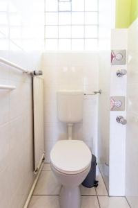 a white bathroom with a toilet and a shower at Monteurwohnung im schönen Essenheim bei Mainz in Essenheim +15 photos